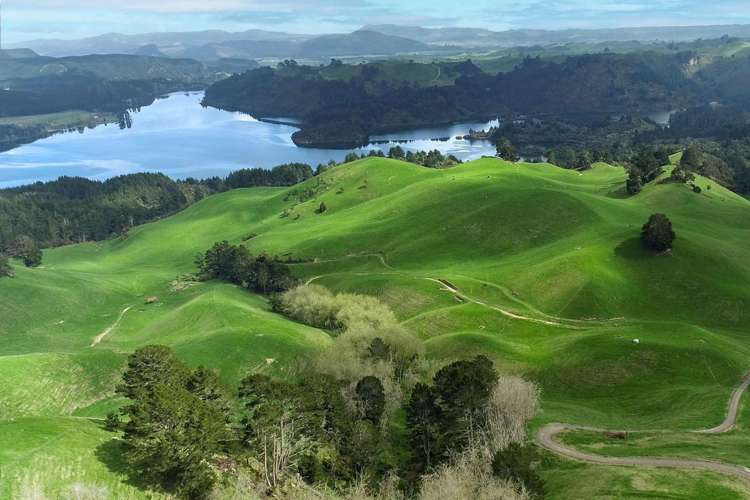 494B Dods Road Waikite Valley_26
