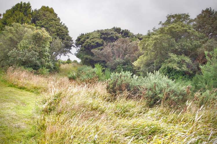 52 Main Road Halfmoon Bay_12