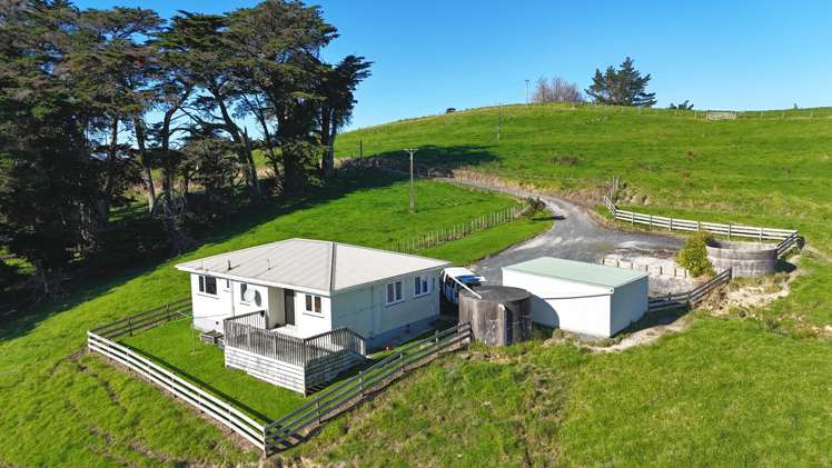 115 Biddle Road Wellsford_23