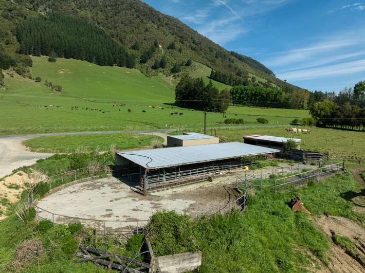 537 Ronga Road Rai Valley_39