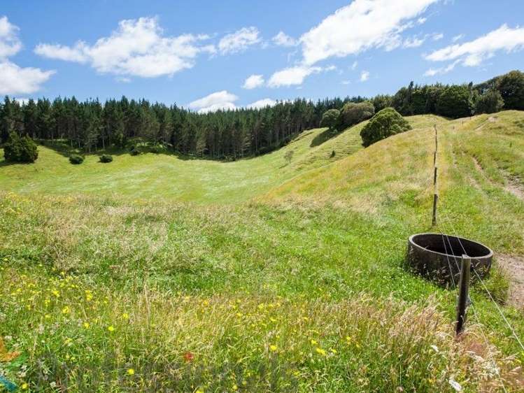 1788 Manawahe Road Manawahe_30