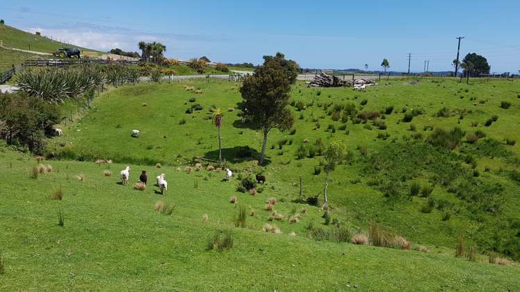 29a Reg Cox Drive Hokitika_15