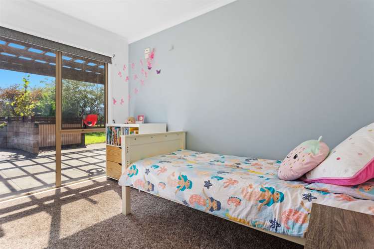 4 Pukeko Lane Rotoma_7