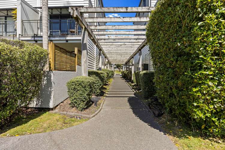 20/5 Carolina Place Albany_10