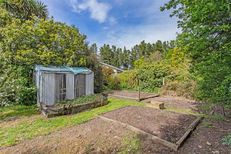 39 Lismore Mayfield Road Mayfield_10