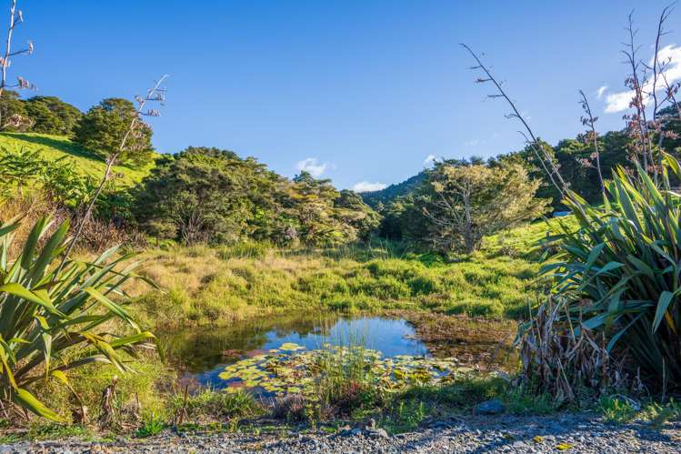 345 Taraunui Road Parua Bay_7