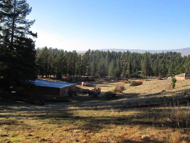 165 Letts Gully Road Alexandra_23