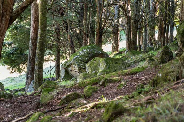 75 Snooks Road Maungatapere_6