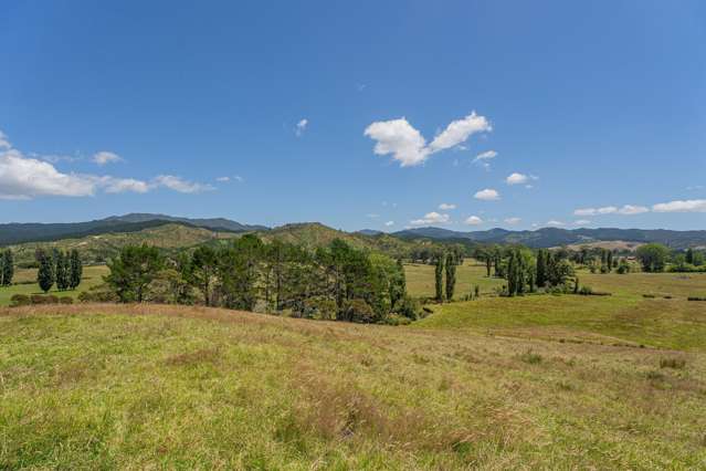 106 State Highway 25 Otapaurau_2