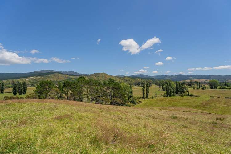 106 State Highway 25 Otapaurau_2