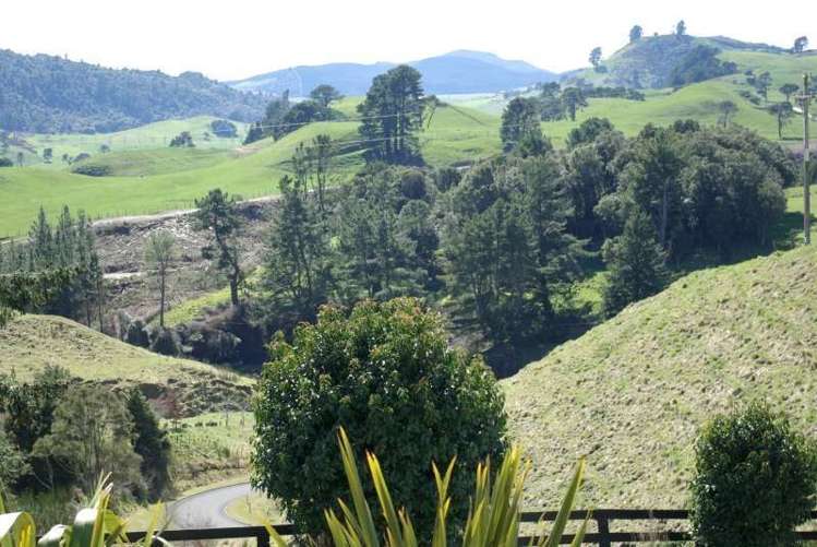219 Forest Road Oruanui_12