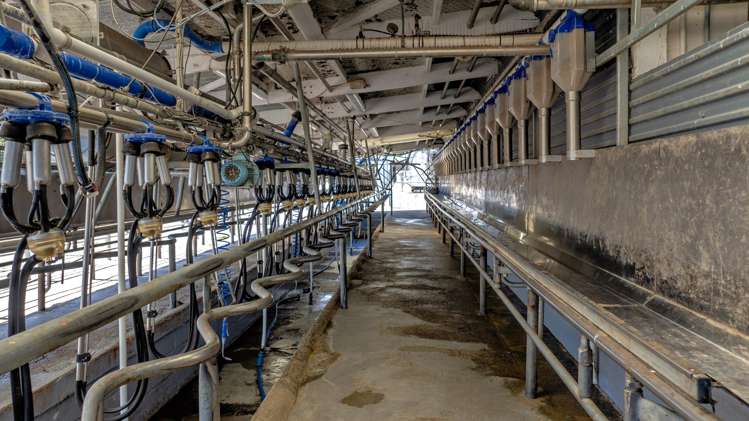 57 Ohutu Road Galatea_20