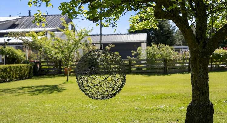 111A Johnsons Road Whitemans Valley_26