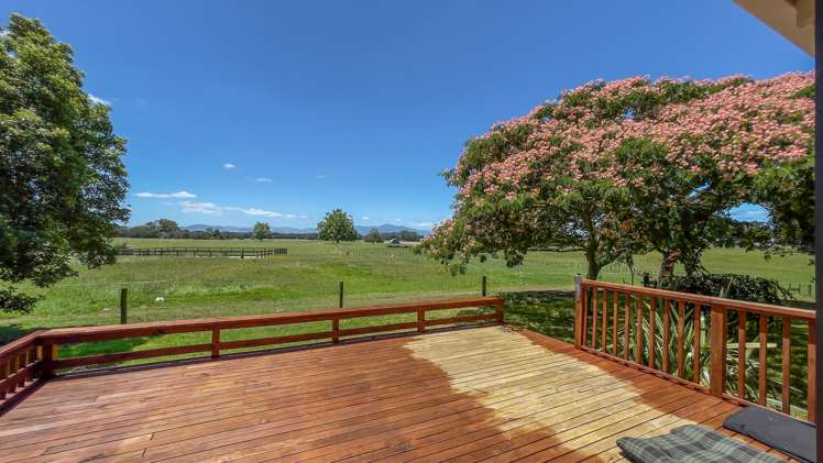 54 Pioneer Road Tahuna_10