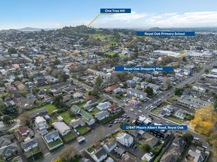 1/647 Mount Albert Road Royal Oak_12