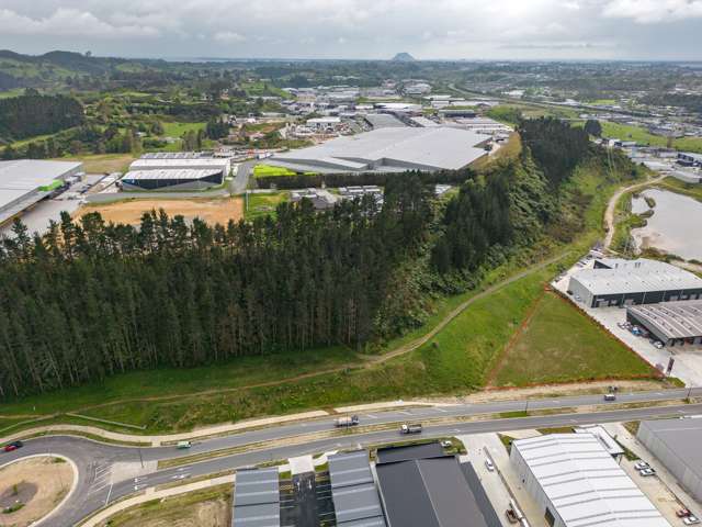 50 Kaweroa Drive Tauriko Business Estate_1