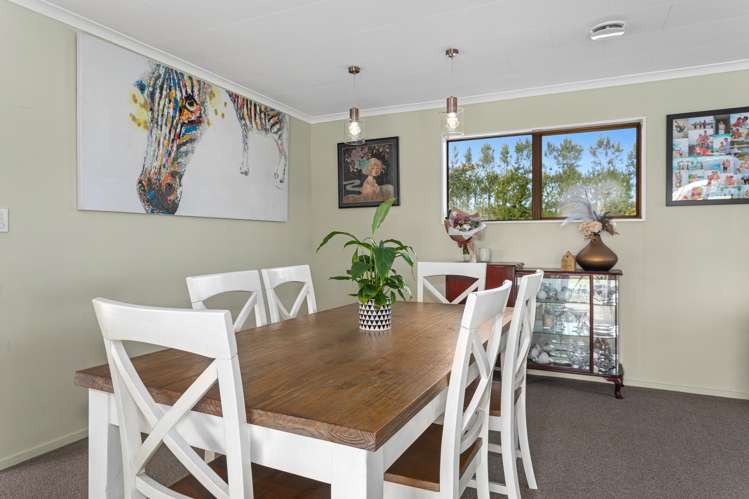 24 Willow Lane Edgecumbe_9