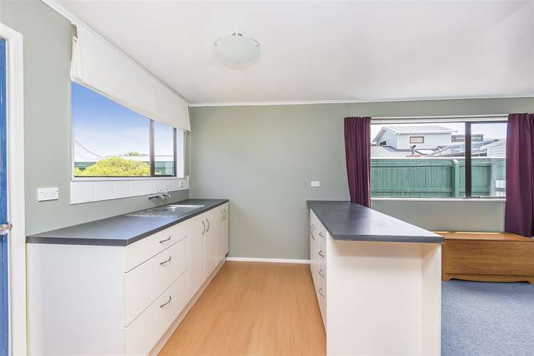 74 Rotherham Terrace Miramar_18