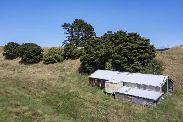 1075 Te Akau Road Te Akau_8