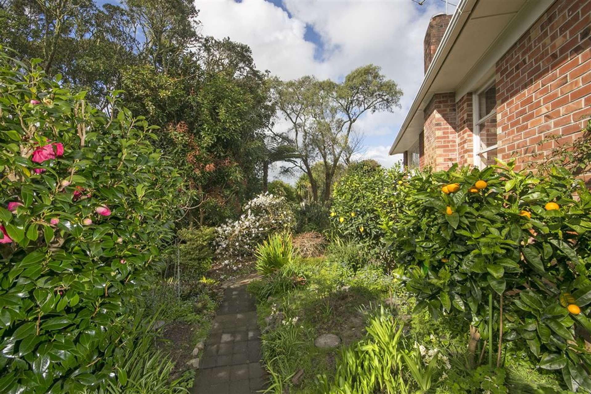 58 Hilling Street Titirangi_0