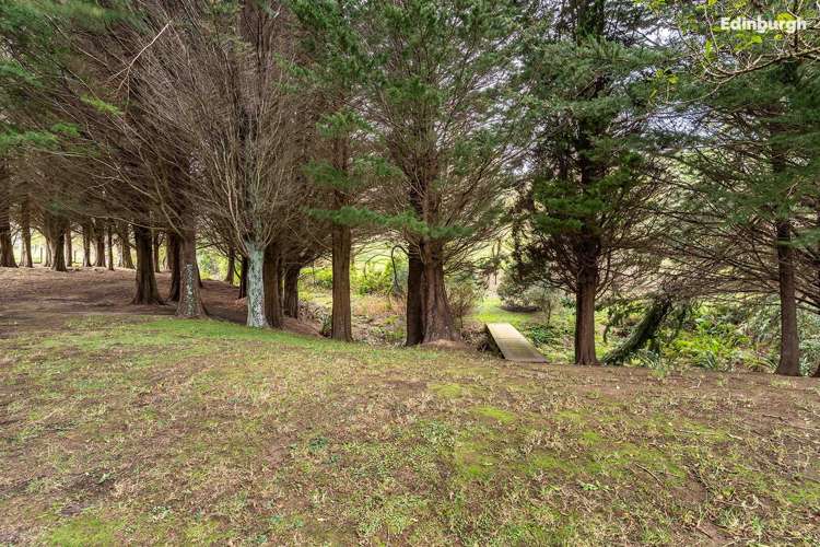 49 Raynbird Street Company Bay_42