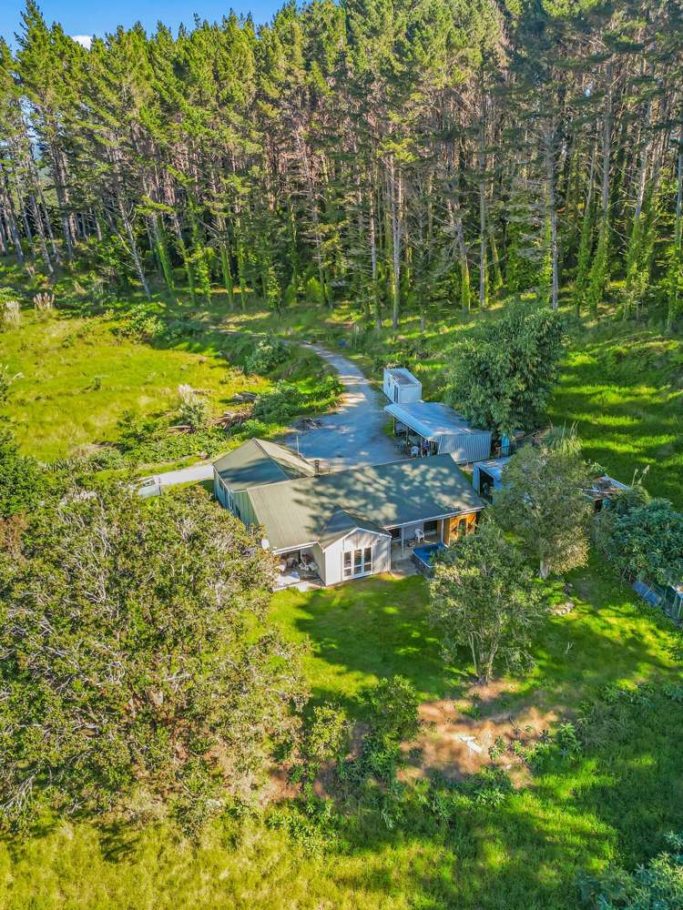 110 Whangape Track Road_3