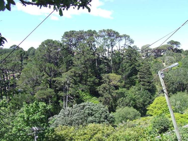 4/71 Garden Road Northland_7