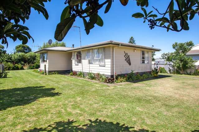 45 Wellington Street Opotiki and Surrounds_4