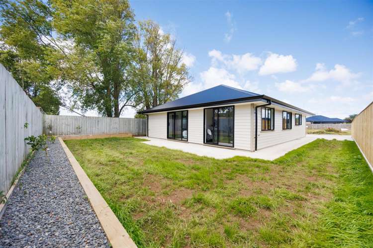 Address withheld Bulls_31