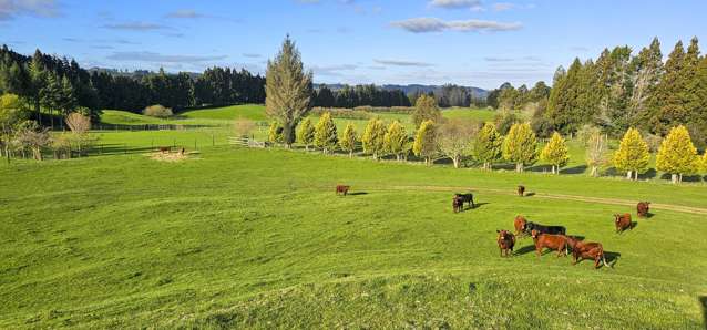 94 Oturoa Road Hamurana_4