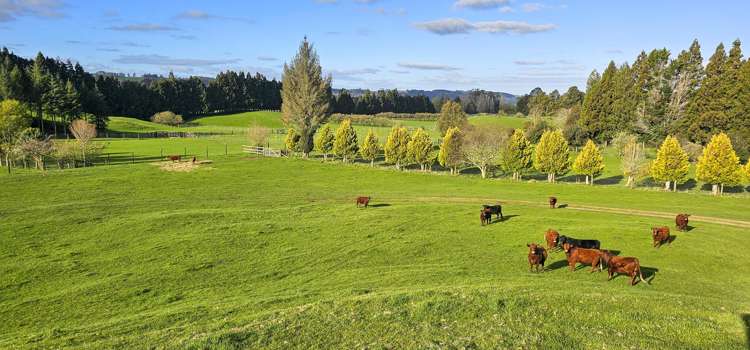 94 Oturoa Road Hamurana_4