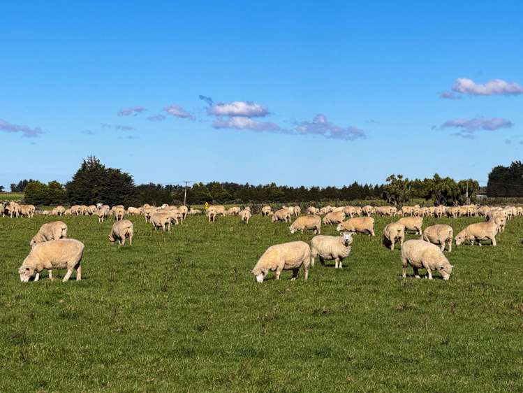 525 Woodlands-Morton Mains Road Morton Mains_8