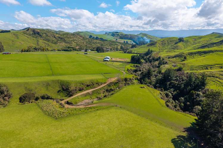 558 Pukeatua Road Dannevirke_5