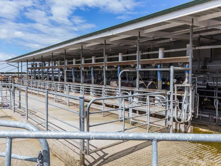 939 Hudsons Road Motukarara_6