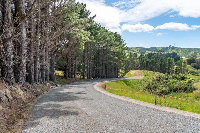 8 Margarita Grove Judgeford_4