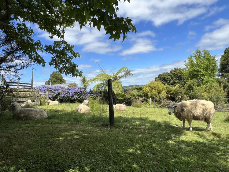 86a Millington Road Maunu_16