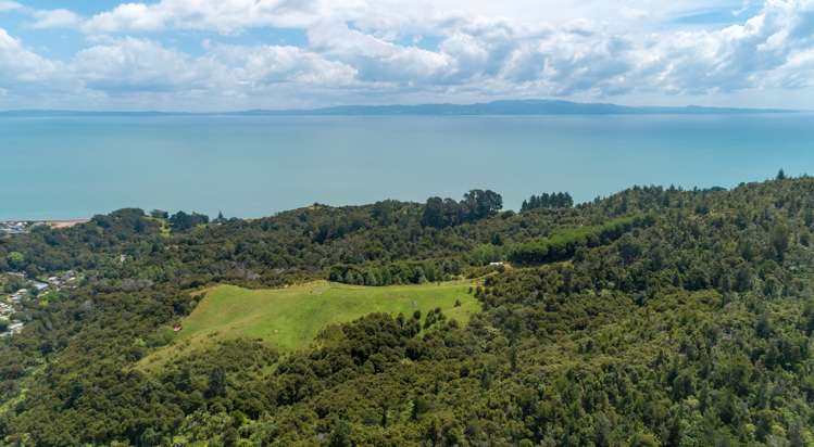 13 Pohue Creek Road Thames_24