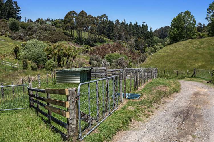 181d McCoy Road Wainui_34