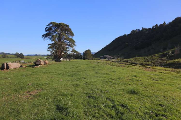 263a Ngatitangata Road Waihi_7