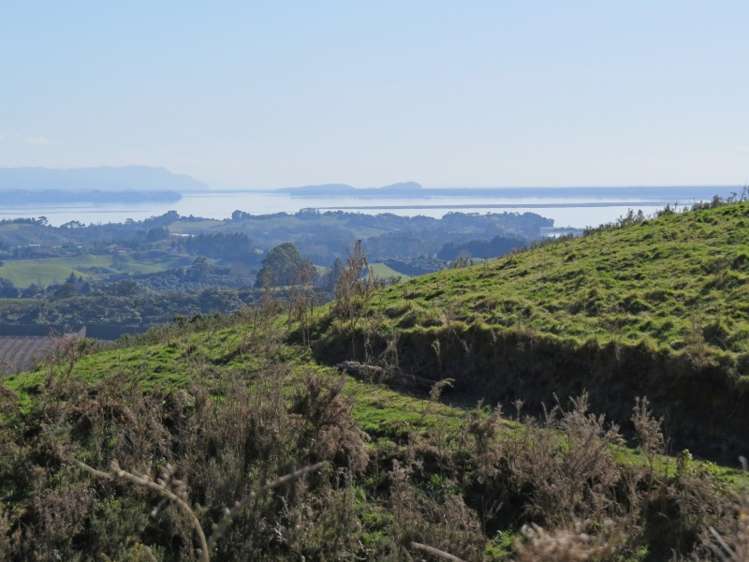 665 Minden Road Wairoa_8