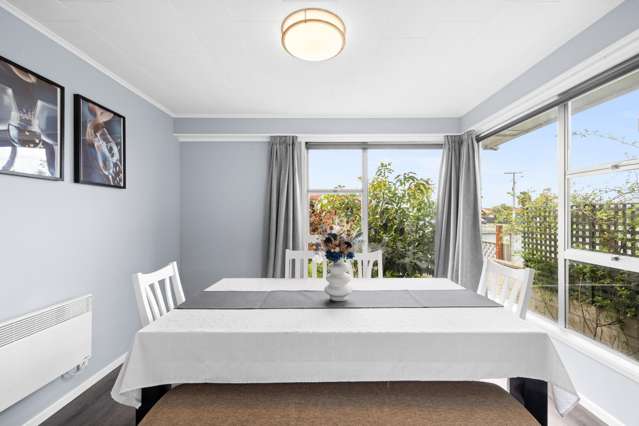 1009 Saint Aubyn Street East Parkvale_4