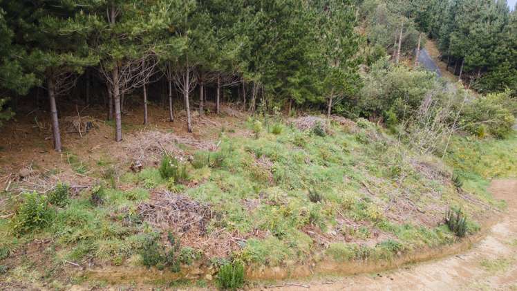 238 Stratton Street Normandale_11