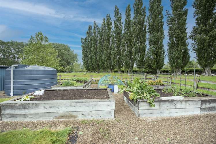 401 Telephone Road Puketaha_16