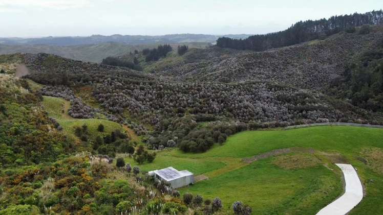 177A Moir Hill Road Puhoi_7