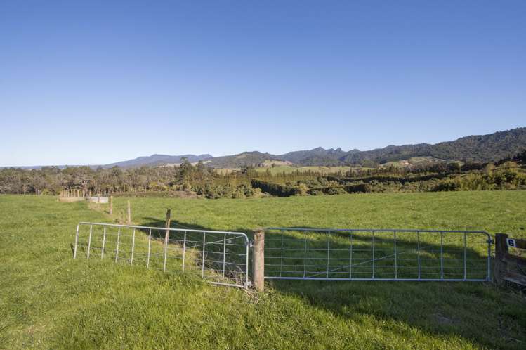 291 Rea Road Hauraki Surrounds_4