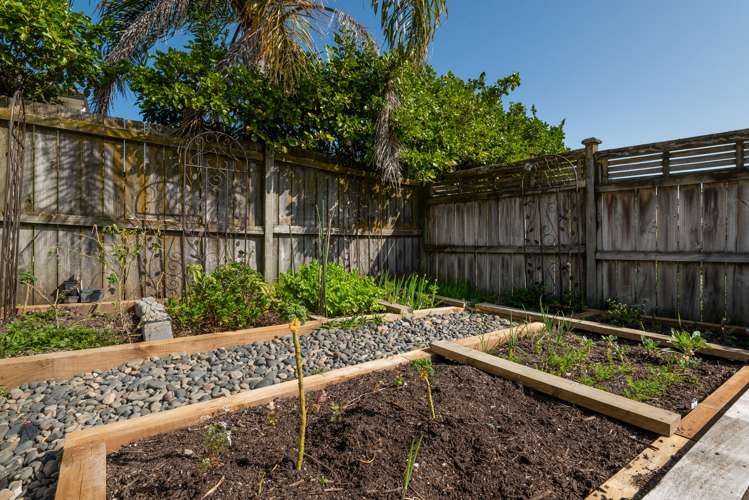 16 Oakway Drive Schnapper Rock_25