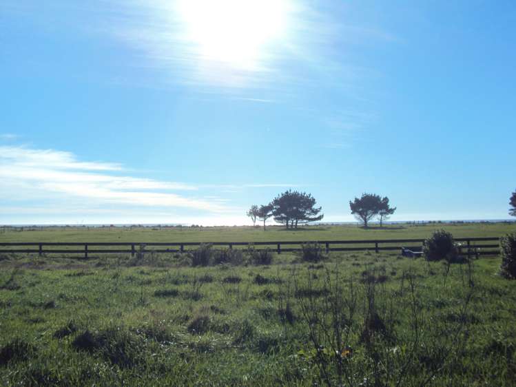 20 Elley Drive Carters Beach_5