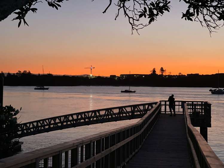 91a Beach Haven Road Beach Haven_18