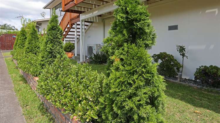 1/56 Woodglen Road Glen Eden_30