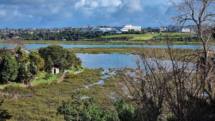 2/11 Francis Street Hauraki_27